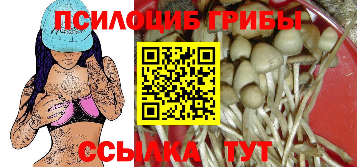 Псилоцибиновые грибы MAGIC MUSHROOMS  Вход с VPN  Борзя 