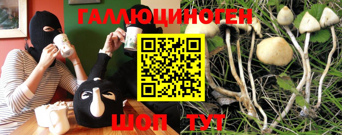 Псилоцибиновые грибы Psilocybe Борзя